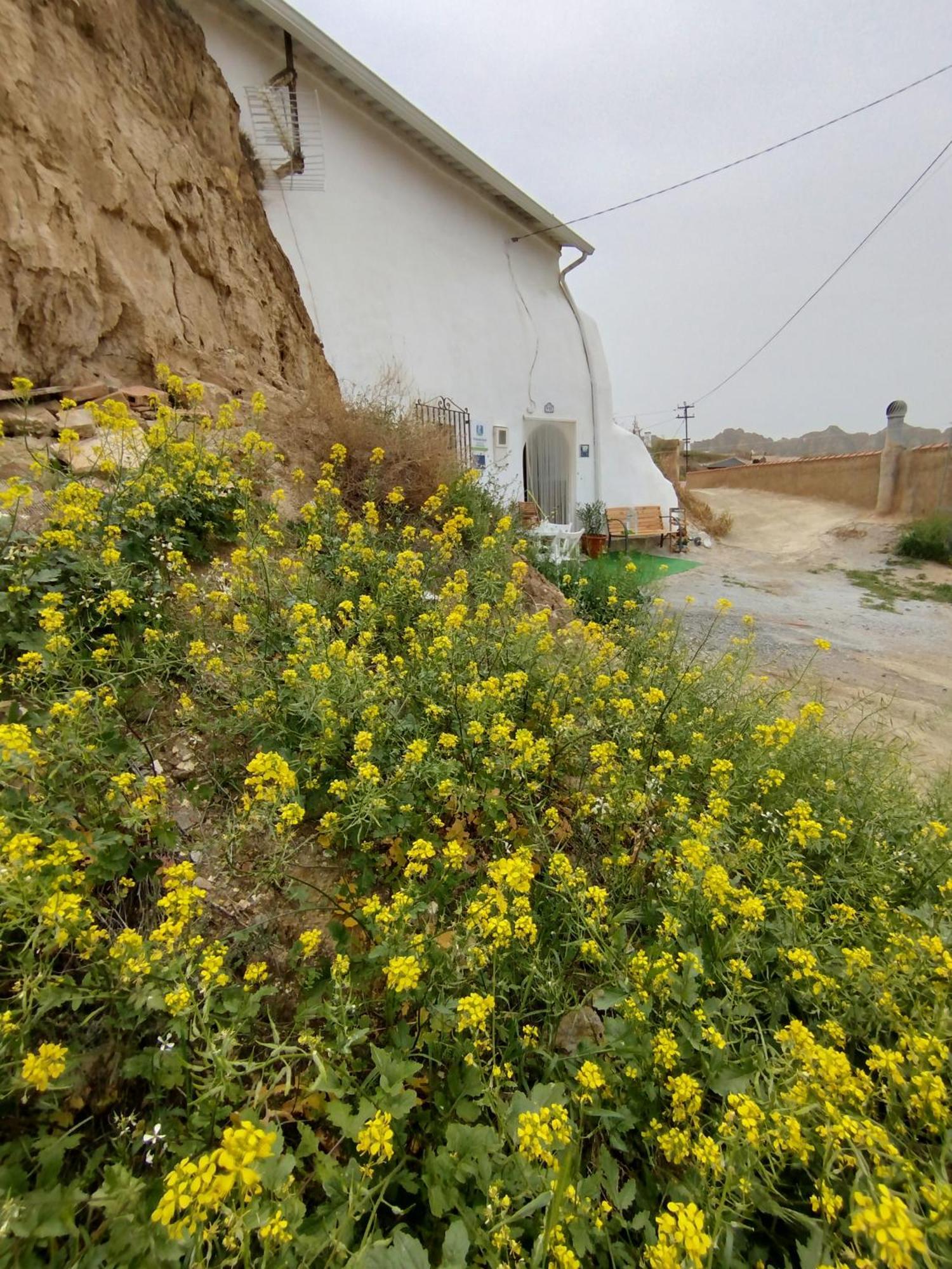 Cueva La Loli Villa Guadix Exterior photo