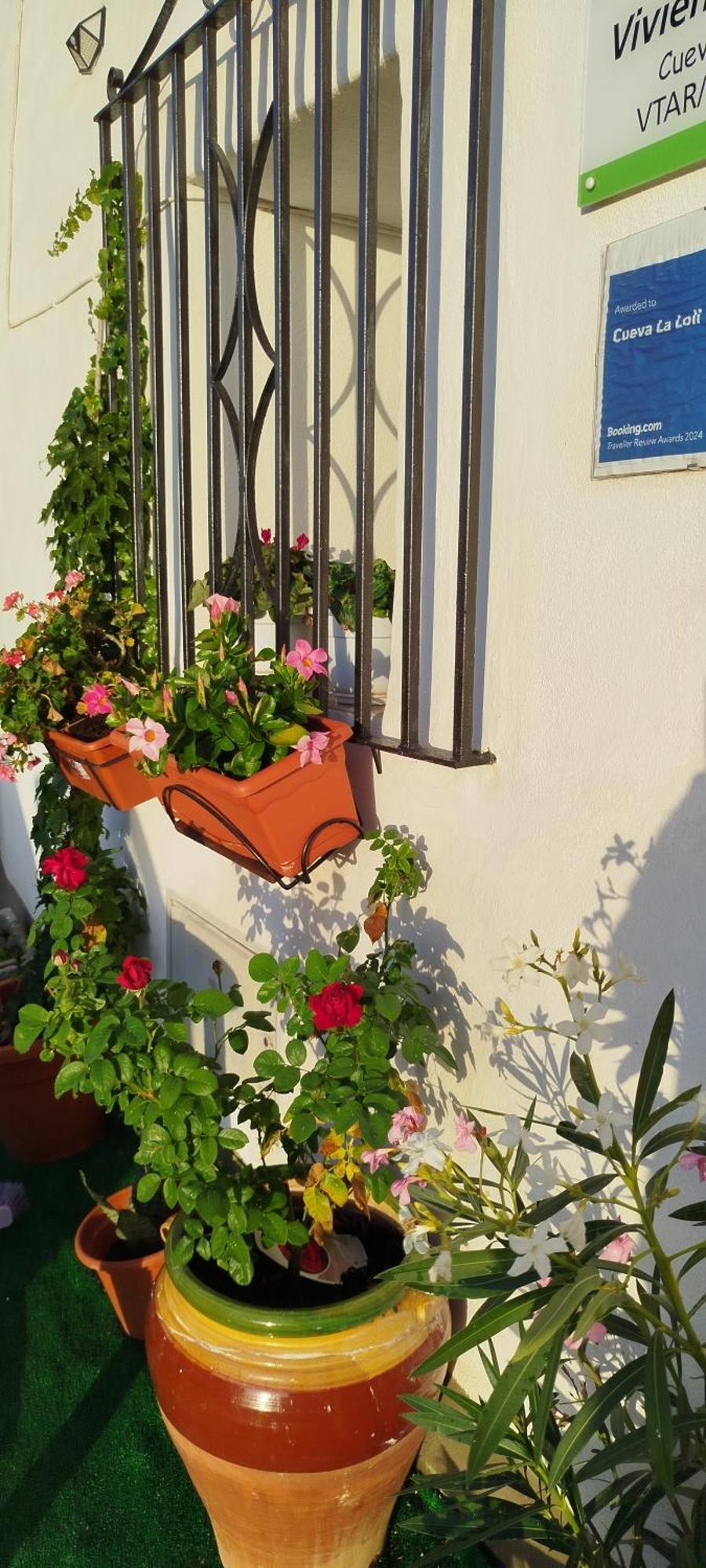 Cueva La Loli Villa Guadix Exterior photo